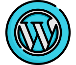 icono wordpress 1 - Alvaro Fontela - Consultor WordPress y cofundador de Raiola Networks